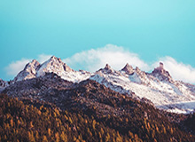 开云数字工具-Ale:我的让位造就了一位有天赋的年轻人,我想打但情况尴尬