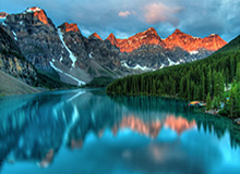 开云数字工具-Ale：我的让位造就了一位有天赋的年轻人，我想打但情况尴尬