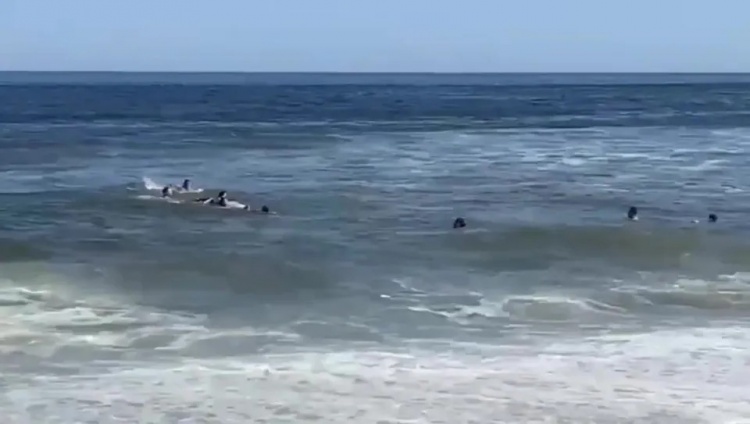 开云智能体验-惊险万分！太阳报：德米凯利斯一家游泳时被海浪冲走，最终被救起